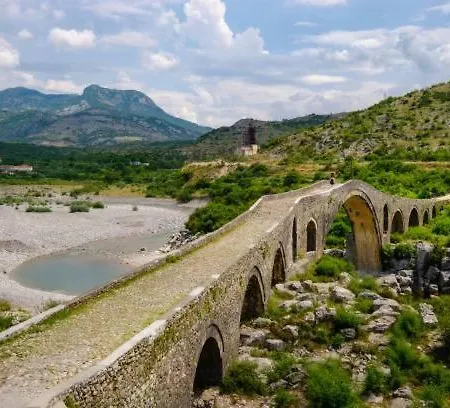 Stela Shkoder